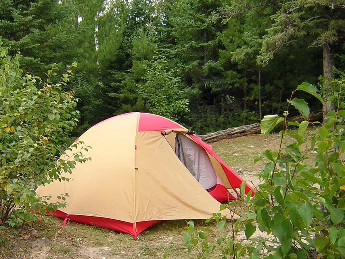 A dome tent pitched on flat, grassy ground in a forest clearing