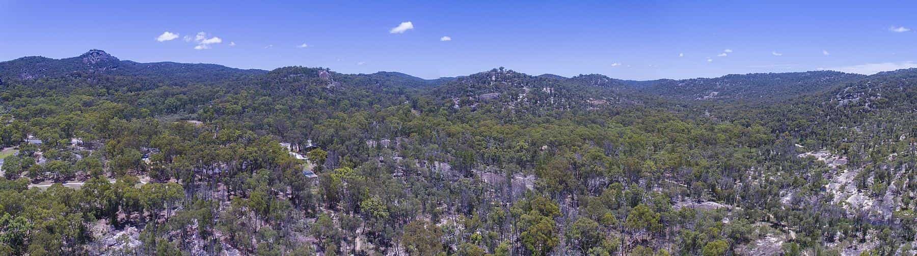 A panorama of granite outcrops and open eucalypt forest stretching to the horizon in Girraween National Park