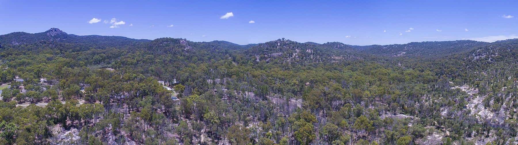A panorama of granite outcrops and open eucalypt forest stretching to the horizon in Girraween National Park