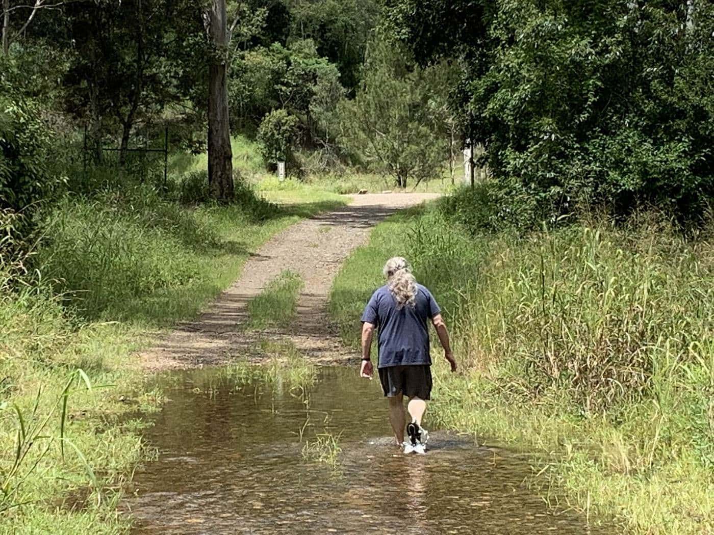 A walker crossing a shallow, flooded track through grassy bushland below the Lake Manchester dam wall