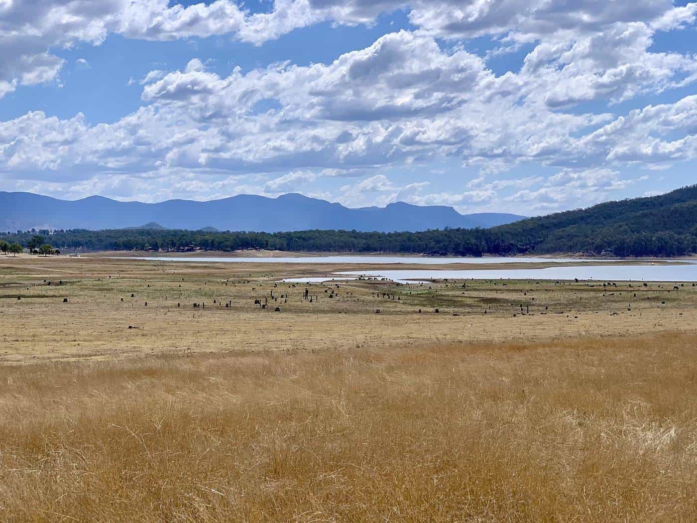 Golden grassland sloping down to Lake Moogerah, with the blue ranges of the Scenic Rim beyond under a cloudy sky