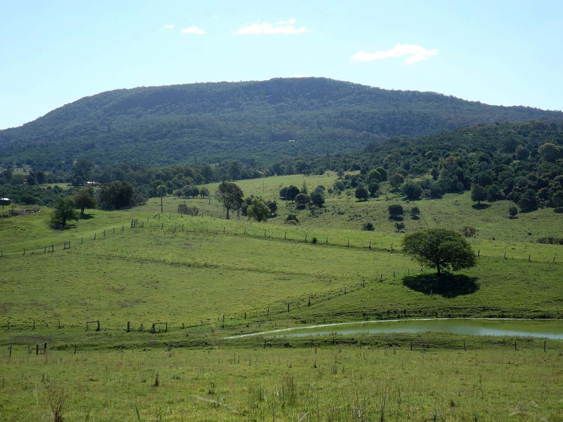 Green paddocks in the foreground and the forested slopes and cliffs of Mount French behind
